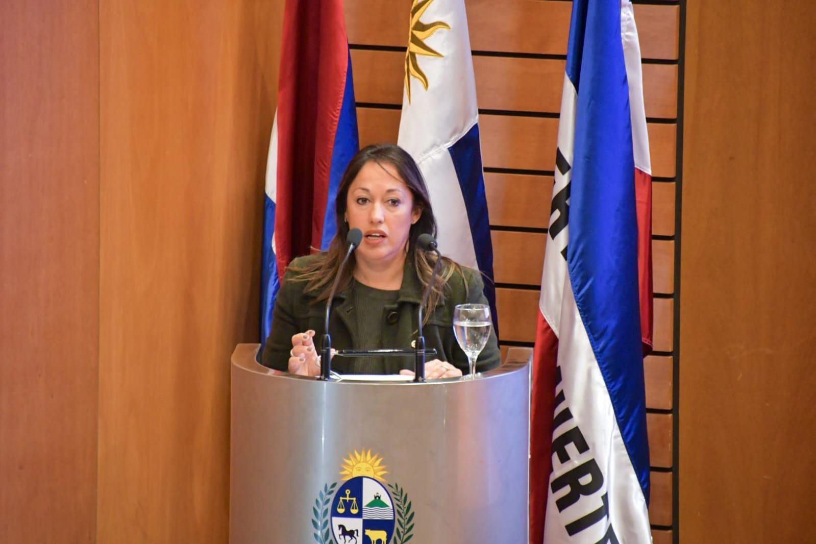 Lanzamiento del Premio Nacional de Eficiencia Energética 2025