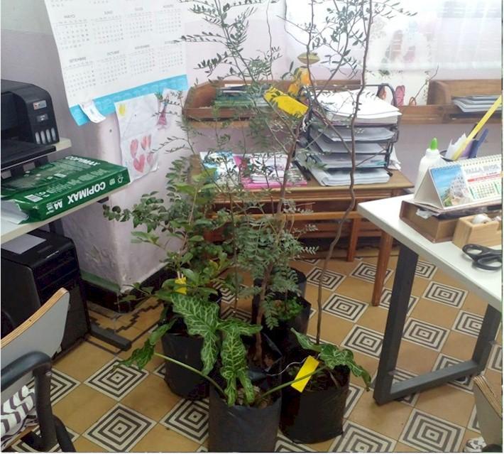 26 de enero Día Mundial Educación Ambiental