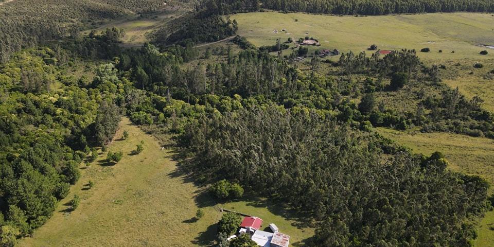 Uruguay 100% Electrificado, se inauguraron obras de electrificación rural en Lavalleja