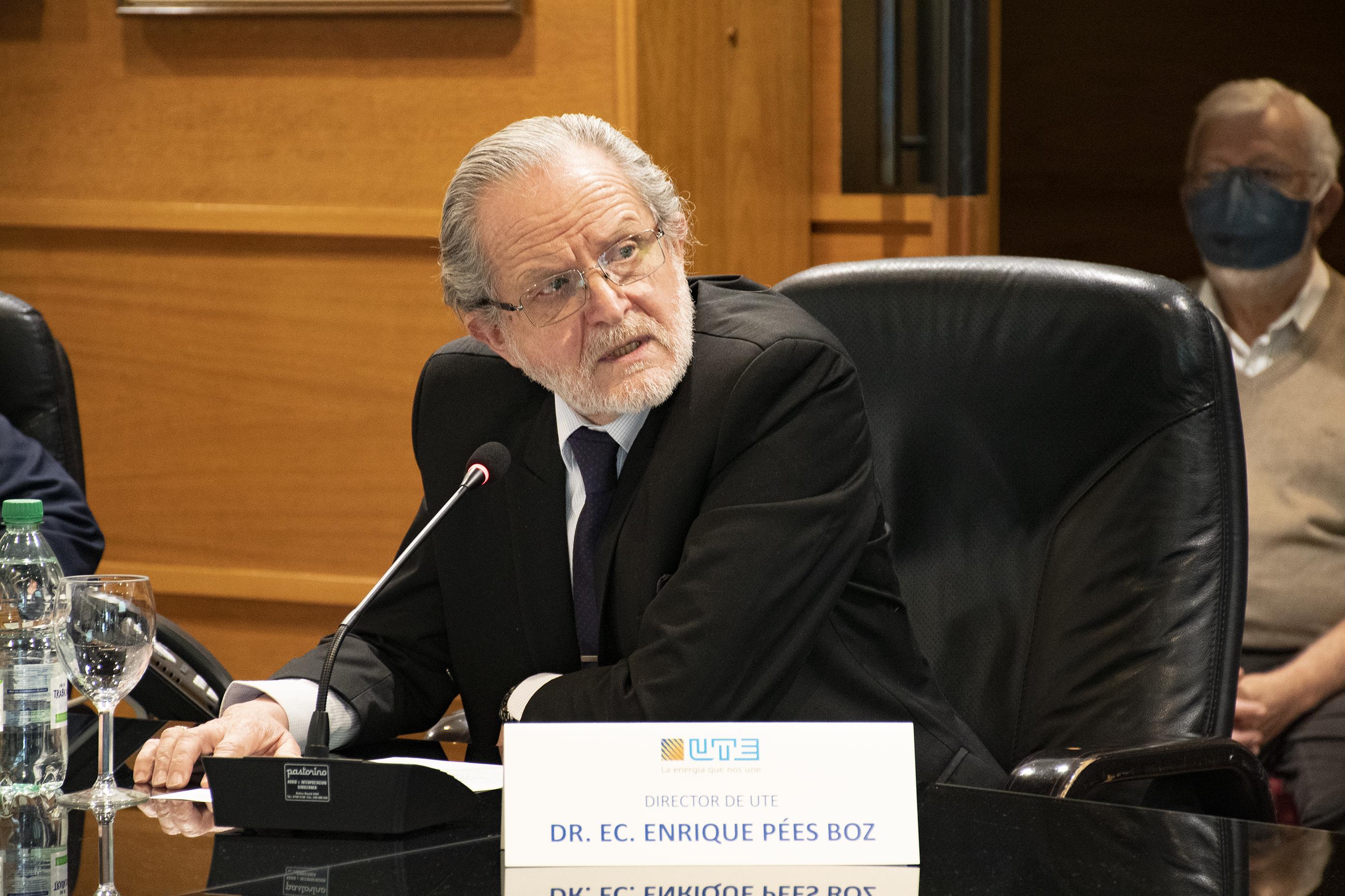 Director Dr. Ec. Enrique Pées Boz