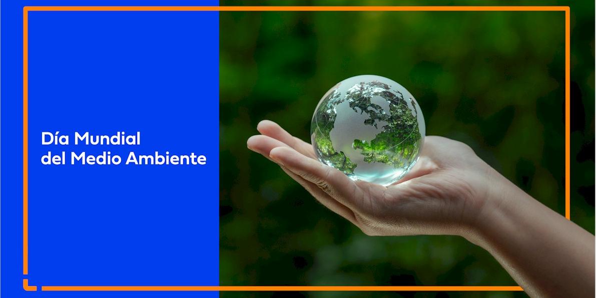 Día Mundial del Medio Ambiente