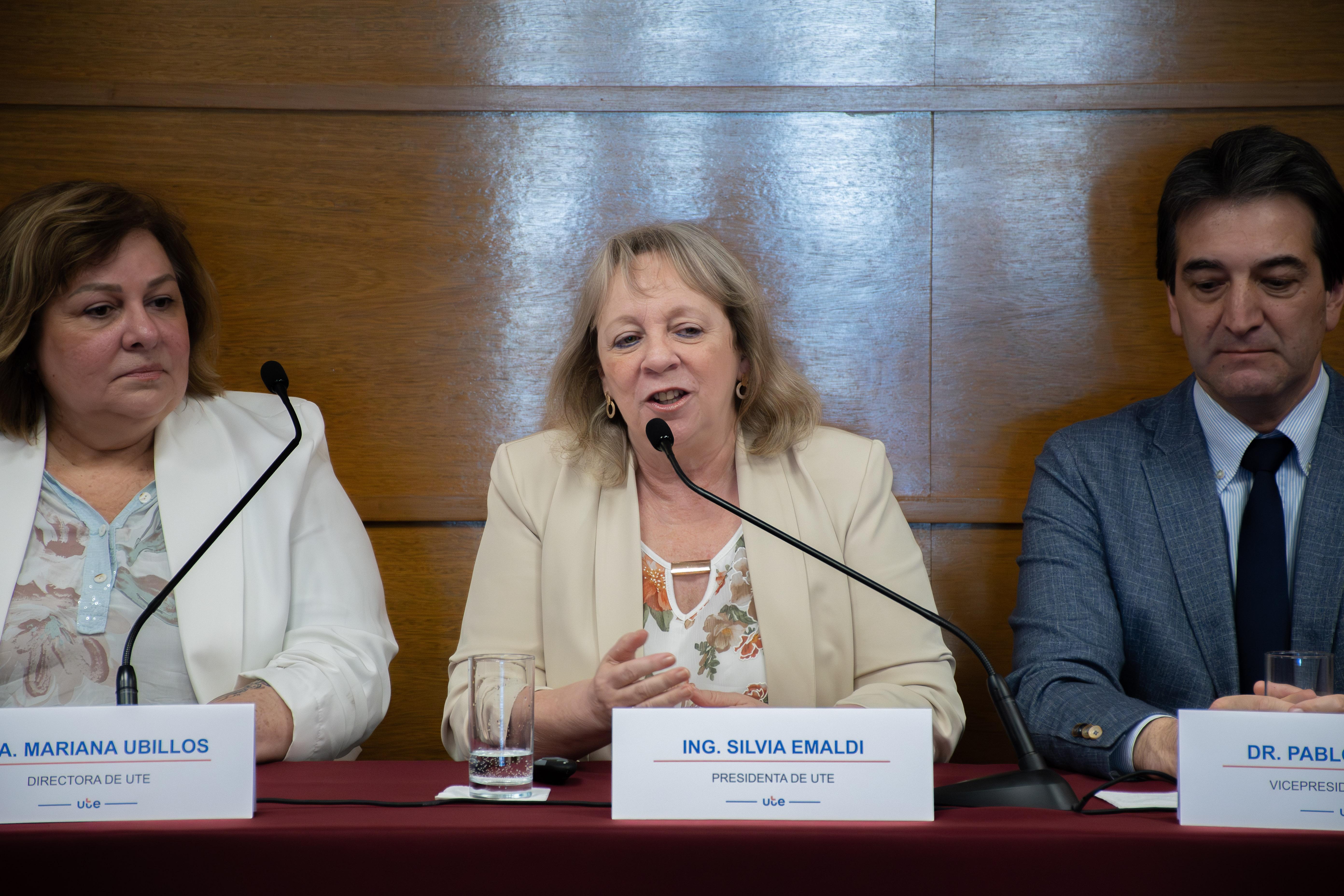 Emisión de Obligaciones Negociables: Parque Fotovoltaico Punta del Tigre