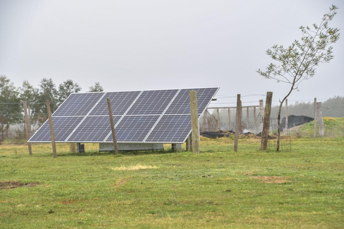 Un paso más hacia un Uruguay 100% Electrificado