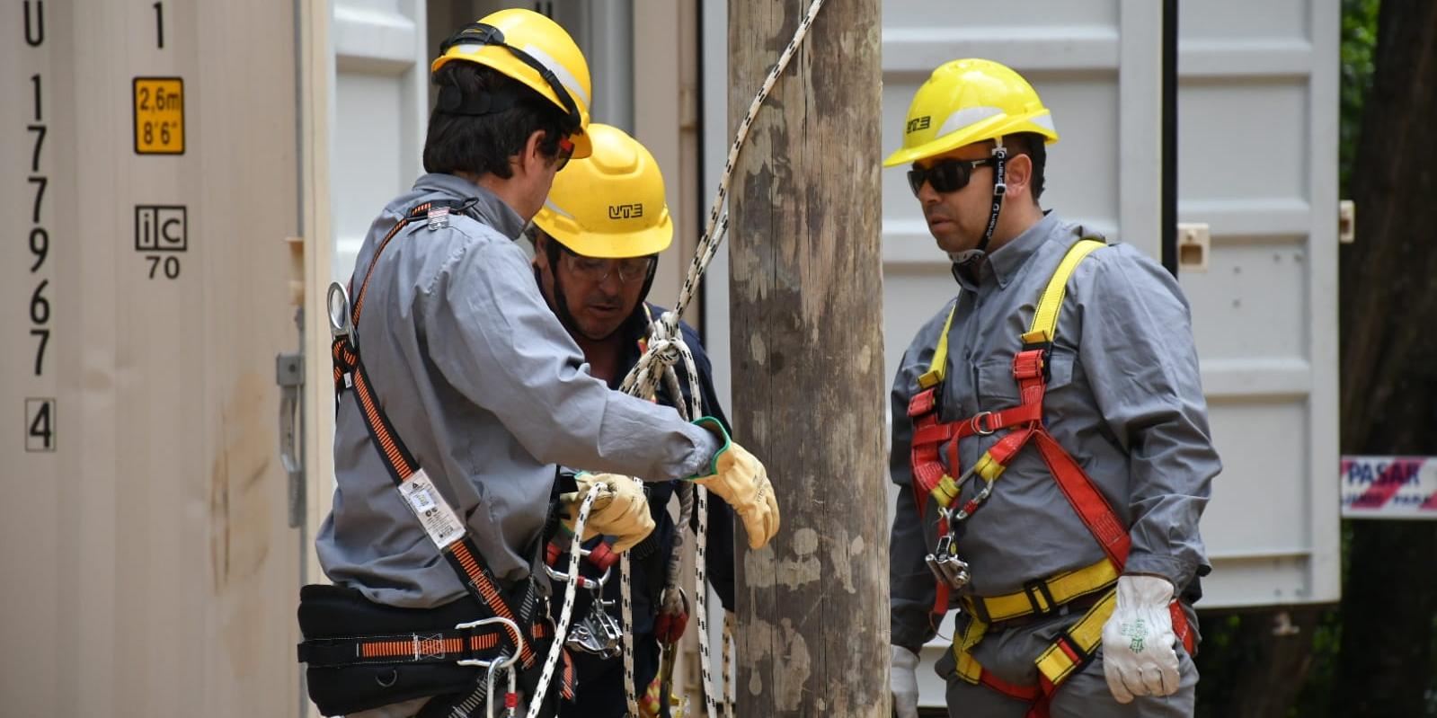 Operarios trabajando