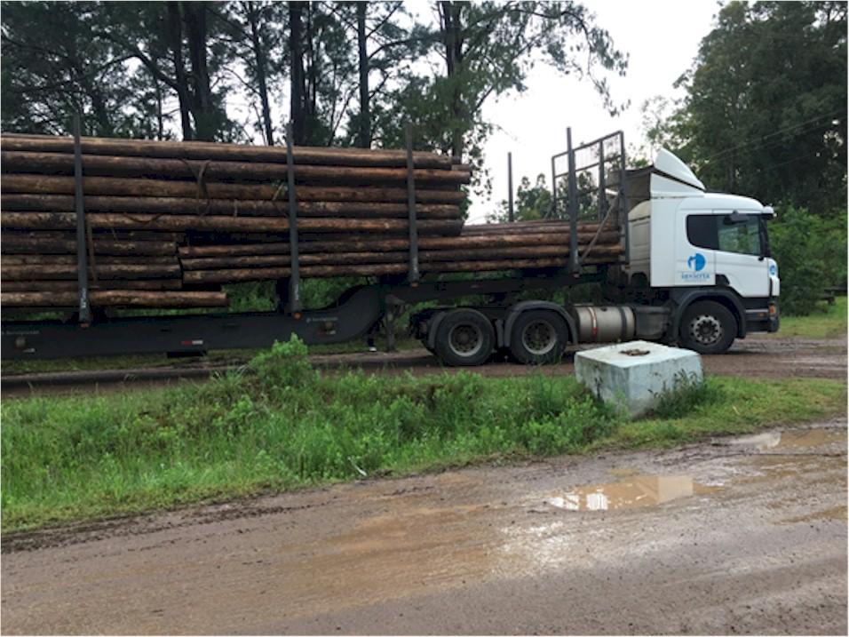Transporte de los postes de madera